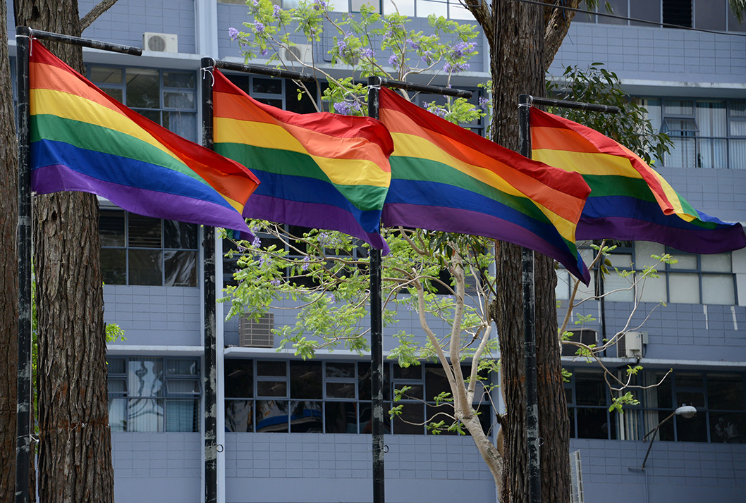 UCR reafirma el reconocimiento de los derechos de la población diversa